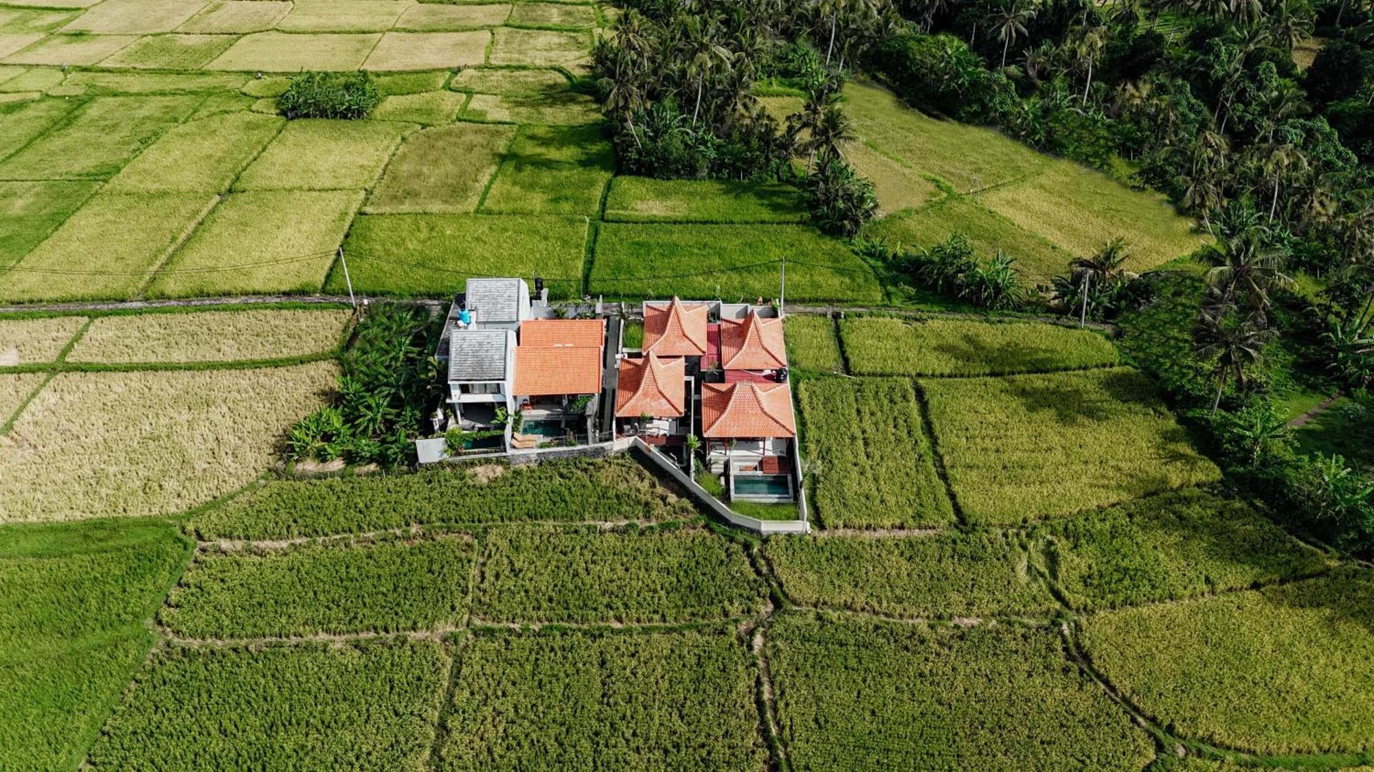 Weda Villas Ubud  Exterior photo